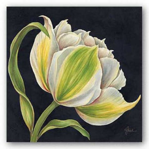 Fleur Blanche by Constance Lael