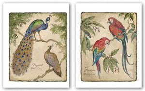 Macaw and Peafowls Set by Betty Whiteaker