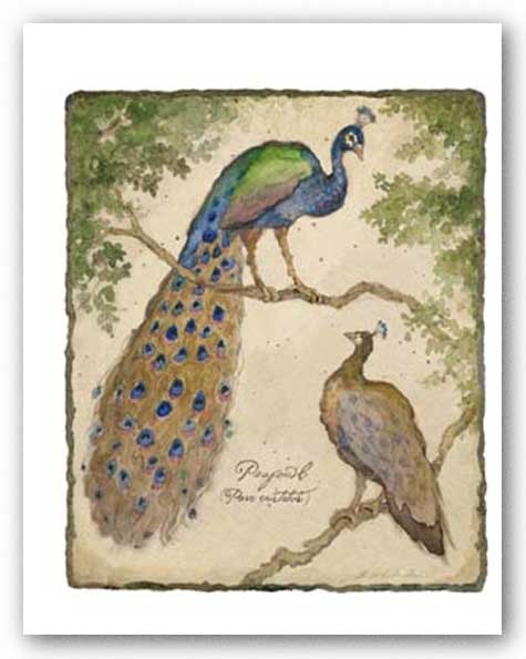 Peafowls by Betty Whiteaker