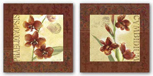 Red Orchid Square Set by Julie Ueland