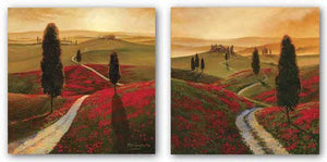 Poppies and Tuscany Set by Thomas McGrath