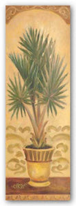Tuscan Palm II by Shari White