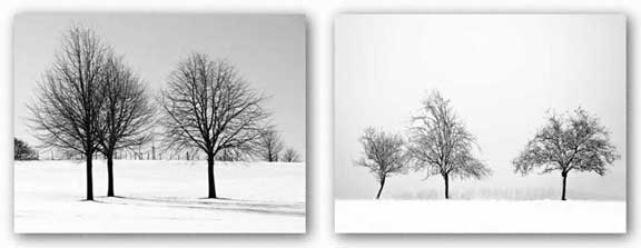 Silhouettes of Winter Set by Ilona Wellmann