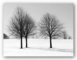 Silhouettes of Winter I by Ilona Wellmann