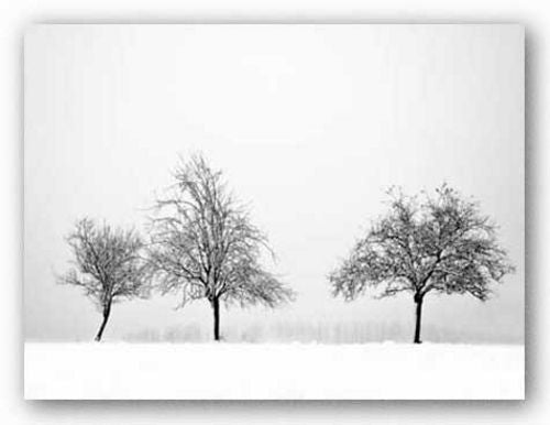 Silhouettes of Winter II by Ilona Wellmann