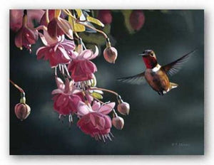 Hummingbird by Terry Isaac