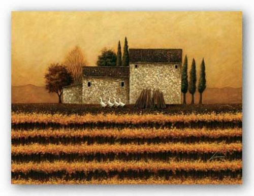 Fall Vineyard  by Lowell Herrero