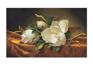 Magnolias on Gold Velvet Cloth by Martin Johnson Heade