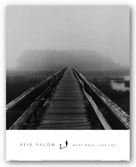 Misty Walk, Cape Cod by Reid Yalom