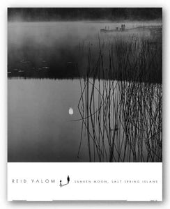 Sunken Moon, Salt Spring Island by Reid Yalom