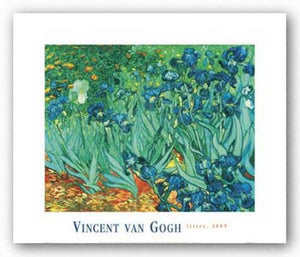 Iris's by Vincent van Gogh