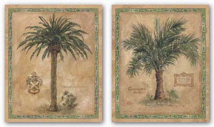 Palm Carpoxylon and Phoenix Canariensis Set by Betty Whiteaker