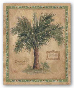 Palm Carpoxylon by Betty Whiteaker