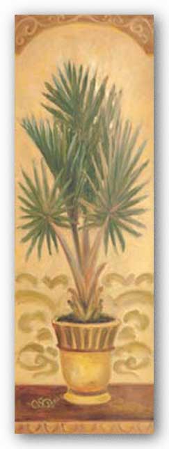 Tuscan Palm II by Shari White