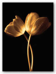 Illuminated Tulips I by Ilona Wellmann