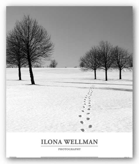 Winter Footsteps by Ilona Wellmann
