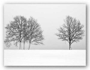 Winter Tree Line II by Ilona Wellmann