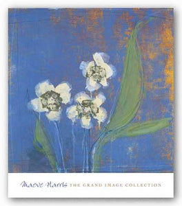 Orchid Study I by Maeve Harris