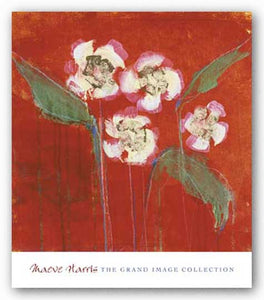 Orchid Study III by Maeve Harris