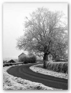 Misty Country Road by Stephen Rutherford-Bate