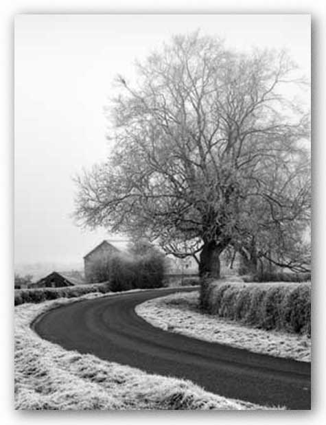 Misty Country Road by Stephen Rutherford-Bate