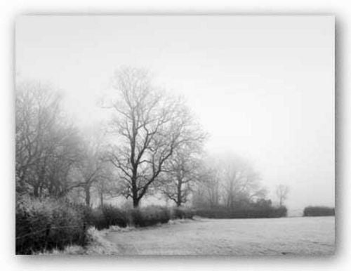Misty Tree-Lined Field by Stephen Rutherford-Bate