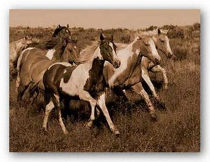Horses Running II by Robert Dawson