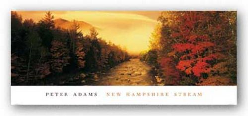 New Hampshire Stream by Peter Adams