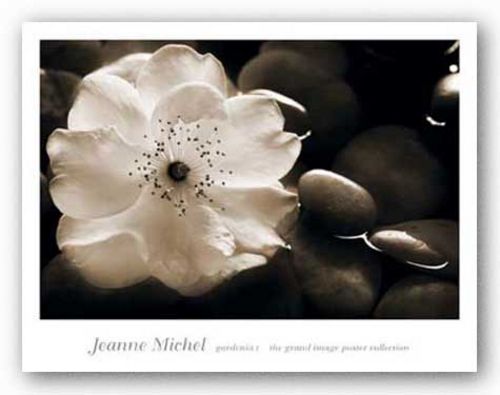 Gardenia I by Jeanne Michel