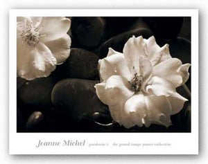 Gardenia II by Jeanne Michel