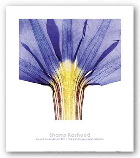 Pressed Flower Abstract #38 by Shams Rasheed