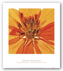 Pressed Flower Abstract #1 by Shams Rasheed