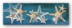 Starfish by Melinda Bradshaw