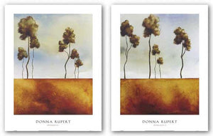 Afterlight Set by Donna Rupert