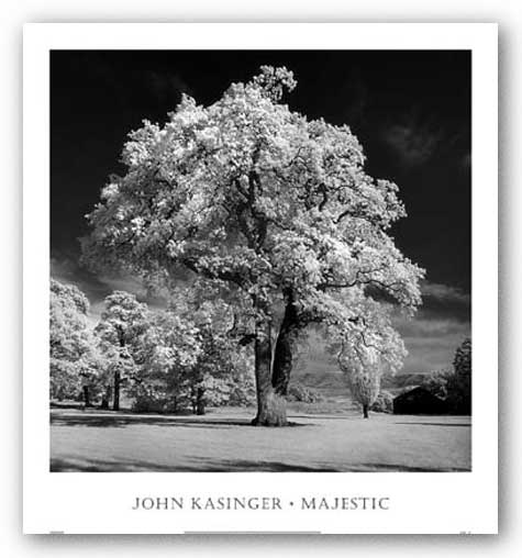 Majestic by John Kasinger