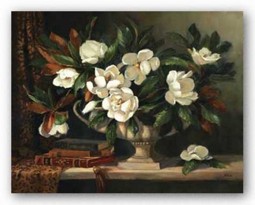 Magnolias Revisit by Hope Reis