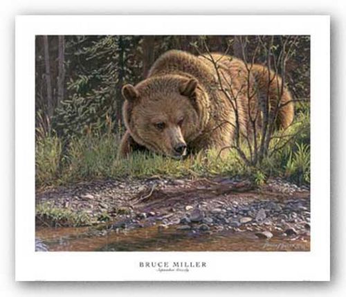 September Grizzly by Bruce Miller