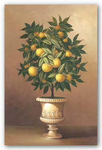 Potted Orange Tree by Welby