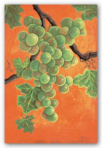White Wine Grapes by Jennifer Lorton