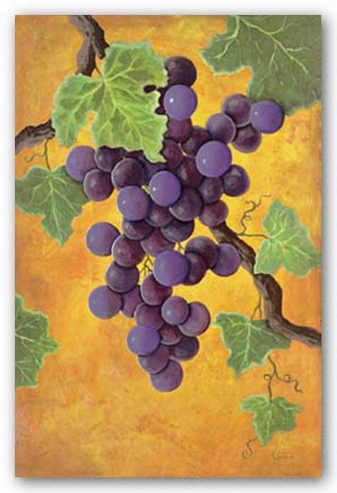 Red Wine Grapes by Jennifer Lorton