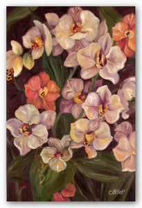 Orchids II by Shari White