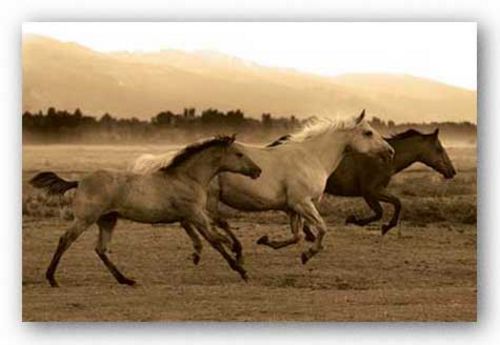 Horse Trio by Robert Dawson