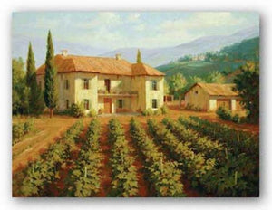 Tuscan Vineyard by Roger Williams