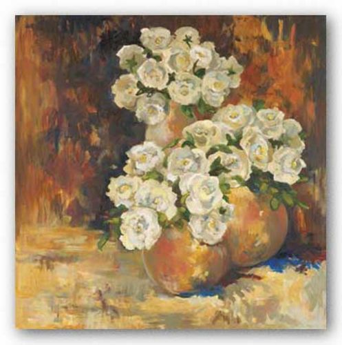 White Rose by Lorrie Lane