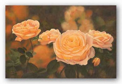 Mandarin Heirloom Roses by DINA