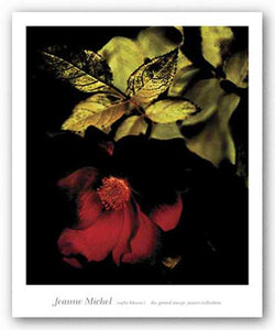 Night Bloom I by Jeanne Michel