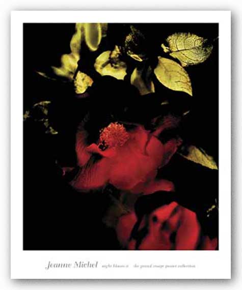 Night Bloom II by Jeanne Michel