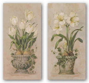 Bulbs In Bloom Set by Barbara Mock