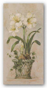 Bulbs In Bloom ll by Barbara Mock