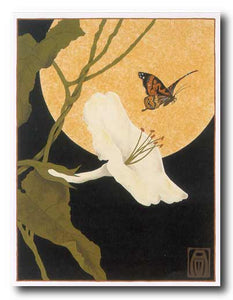Moonflower and Moth  by Anita Munman